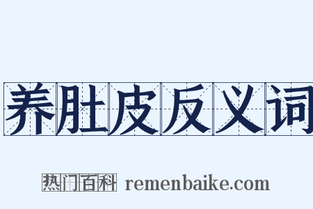 养肚皮反义词是什么意思的图片
